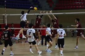 棒球与生物力学模型解析投手投球时核心肌群对能量传递的放大作用